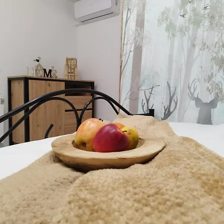 Stara Kamienica Przed Fortami *