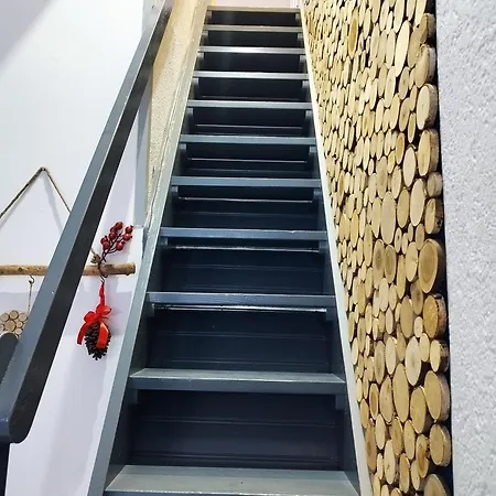 Stara Kamienica Przed Fortami Apartment *