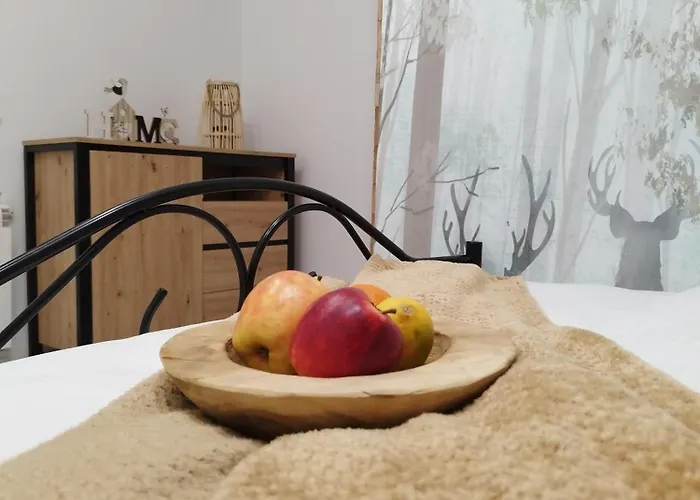 Stara Kamienica Przed Fortami *